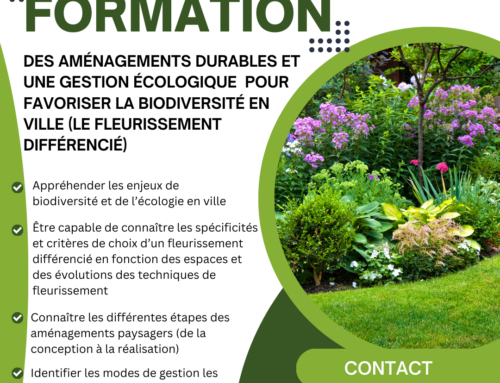 Formation : Des Aménagements Durables et une Gestion Écologique pour Favoriser la Biodiversité en Ville (Fleurissement Différencié)